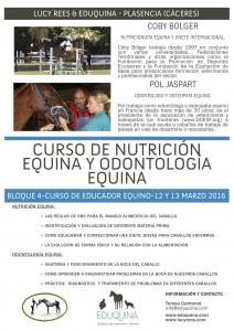 Bloque 4 2016