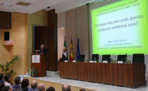 ponencia-san-francisco